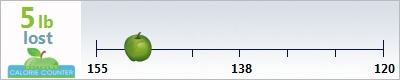 faridadancer's weight loss ticker