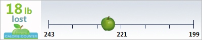 fat_it_guy's weight loss ticker