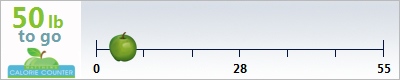 genacarry's weight loss ticker